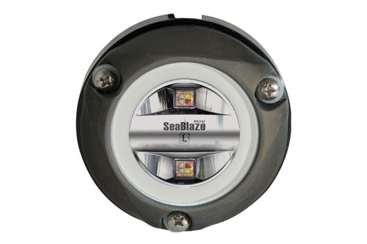 Lumitec Mini Spectrum RGBW LED Underwater Light Anodized Aluminum 12/24v.
