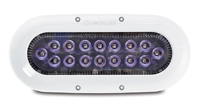 OceanLED X-Series Underwater LED Lights.